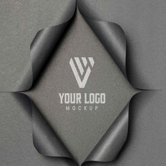 Flack Sheet Psd Logo Mockup