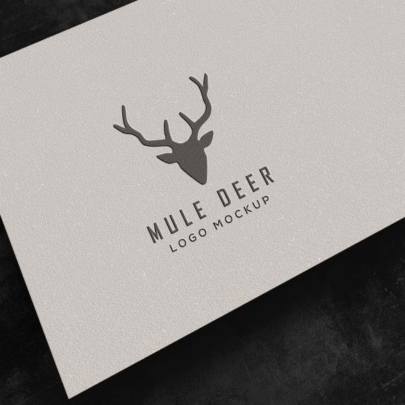Floating Pressed Paper Logo Mockup