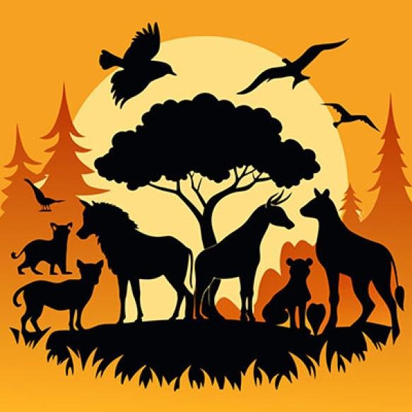 Picture Animals Full Moon With Full Moon Background