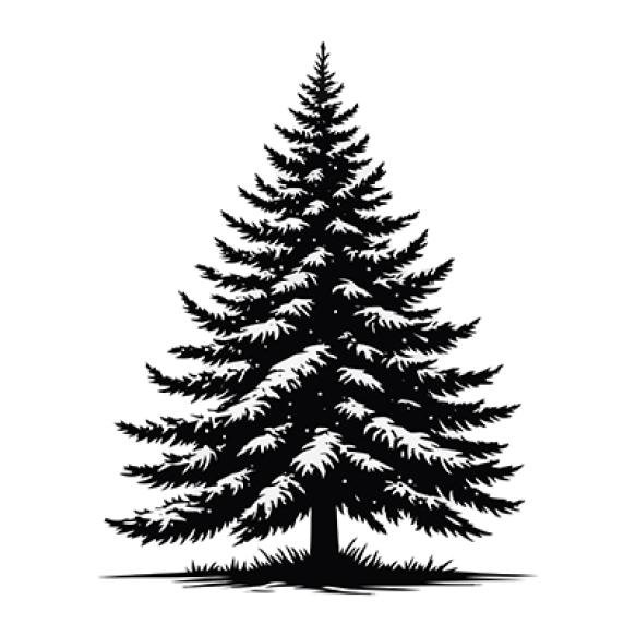 Drawing Pine Tree With Word Pine It