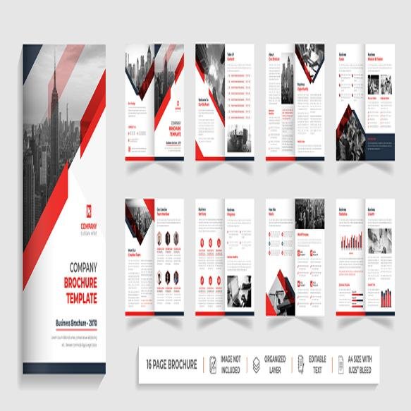 16 Page Back School Education Admission Bifold Brochure Template Company Profile Flyer Design