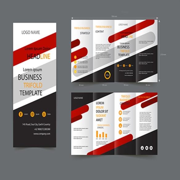 Brochure Vector