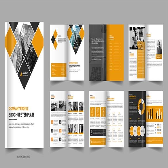 Business Project Proposal Template Company Brochure Layout Design
