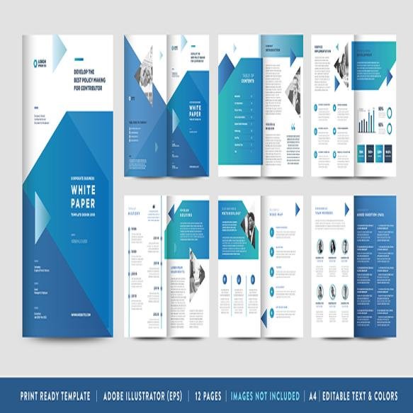 Business White Paper Company Internal Document Design Brochure Design