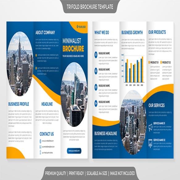 Clean Style Trifold Brochure Template