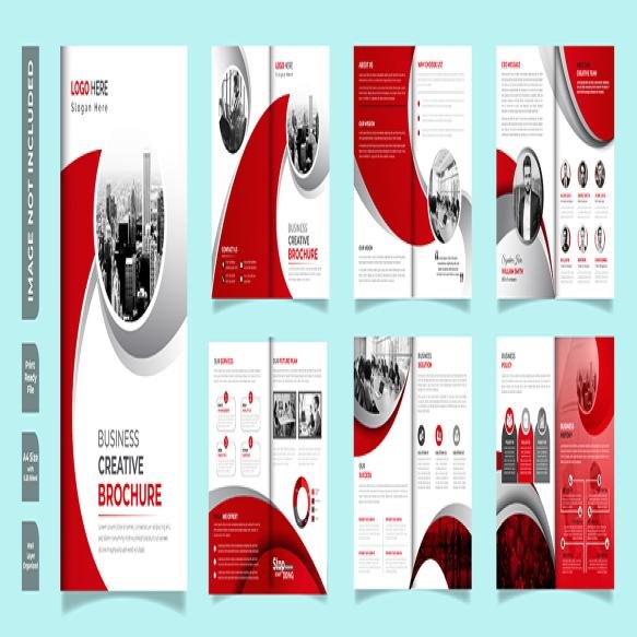 Company Profile Brochure Layout Design Template With Red Color Shapes