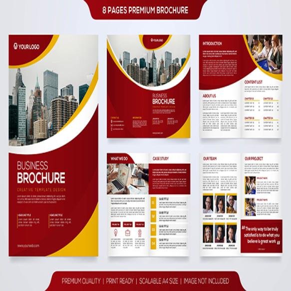 Set Business Bifold Brochure Template Premium