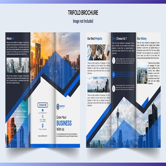 Trifold Business Brochure Design (1)