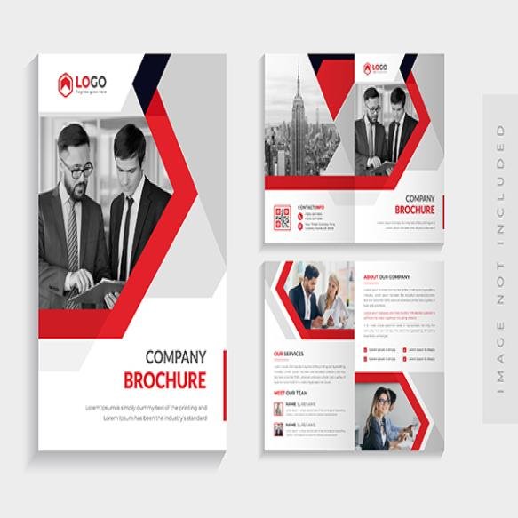 Creative Bifold Brochure Template