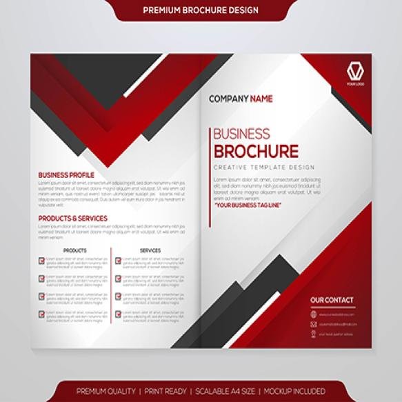 Minimalist Brochure Template Vector