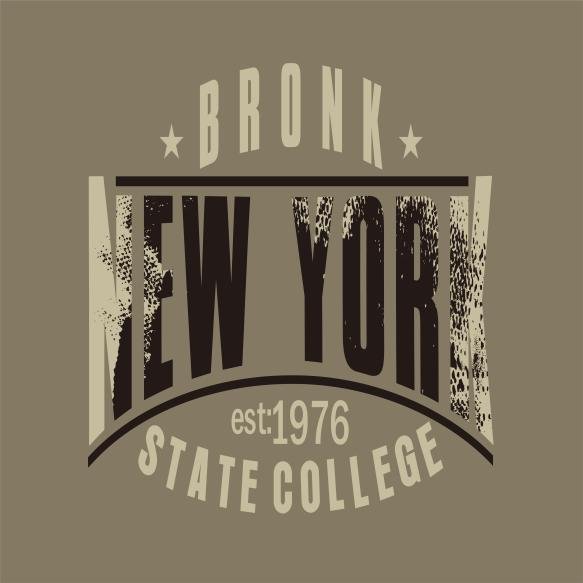 Vintage College Varsity Brooklyn New York Slogan Grunge Vintage New York Typography Slogan Print T