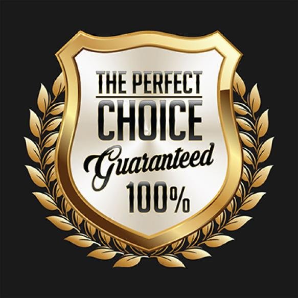 Gold Shield With Words Perfect Choice