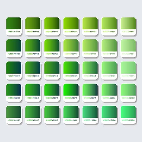 Green Color Palette With Hex