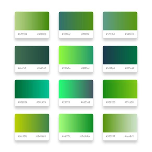 Vector Nature Eco Green Gradient Shades Set 12 With Color Code