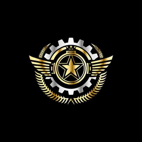 Gold Star With Wings Star It