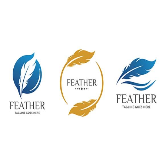 Feather Logo Icon Vector Template Beautiful Feather Logo With Interesting Color Combination