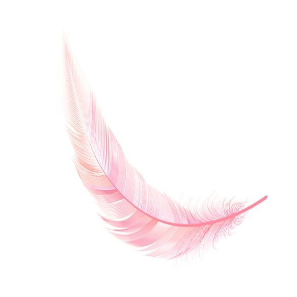 Flying Realistic Vector Goose Swan Orange Feathers
