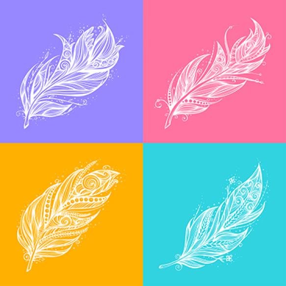 Set Beautiful Feathers Line Graph Bright Backgrounds