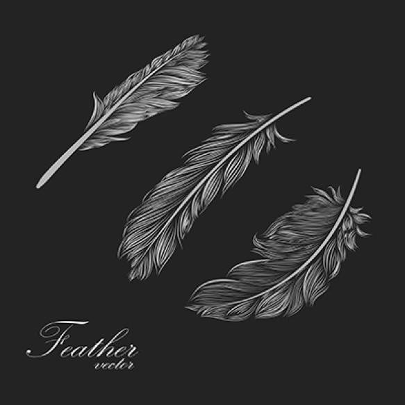 Set Feather