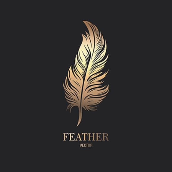 Vector Fluffy Golden Color Feather Logo Icon Silhouette Feather Closeup Isolated (1)