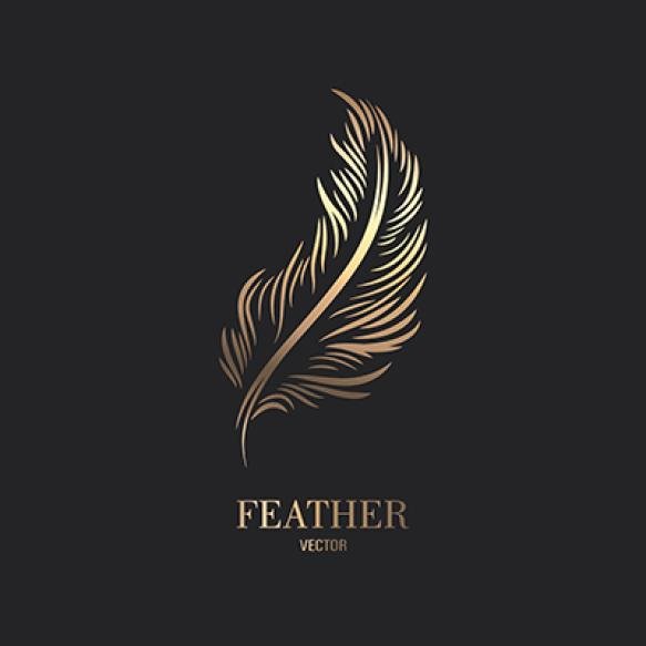 Vector Fluffy Golden Color Feather Logo Icon Silhouette Feather Closeup Isolated Design Template Fla