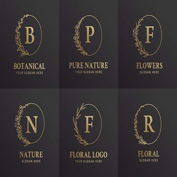Elegant Black Gold Hand Drawn Floral Botanical Logo Illustration Design Set Beauty Natural Organic B