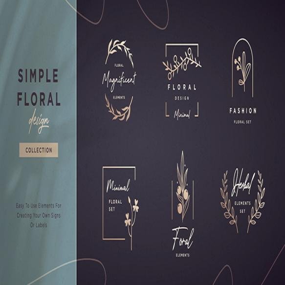 Set Minimalistic Elegant Geometric Floral Elements Premade Decorative Fashion Labels Signs Vector