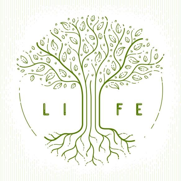Tree Life Life Death Cycle Life Vector Logo Drawing Linear Style Classic Symbol (1)
