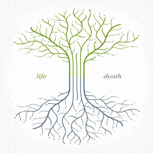 Tree Life Life Death Cycle Life Vector Logo Drawing Linear Style Classic Symbol