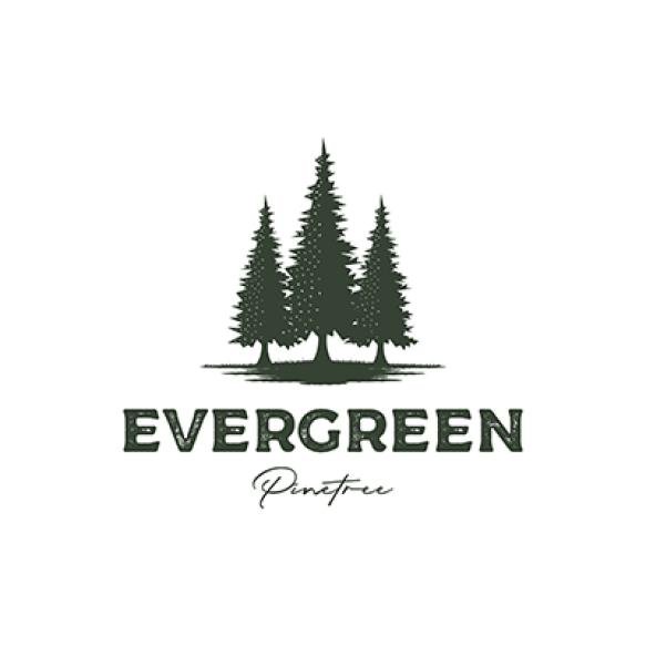 Vintage Retro Hipster Pine Tree Evergreen Logo Design Vector