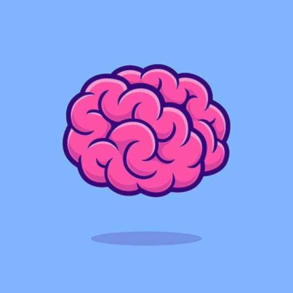 Brain Cartoon Vector Icon Illustration Education Object Icon Concept Isolated Premium Vector Flat Ca
