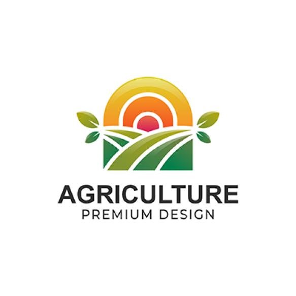 Eco Green Farm Circle Plant Logo Agriculture Farmer Garden With Sun Nature Linear Logo Design Vector
