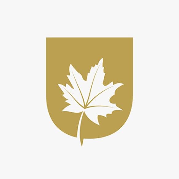 Letter U Maple Leaf Elegant Logo Maple Leaf Logotype Vector Template