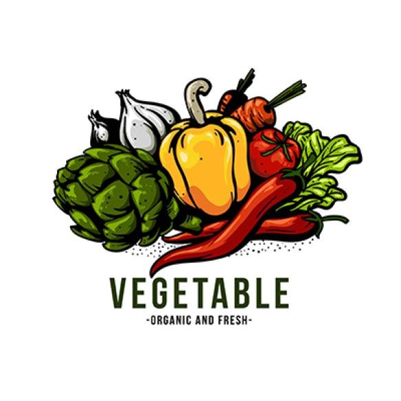 Vegetable Illustration