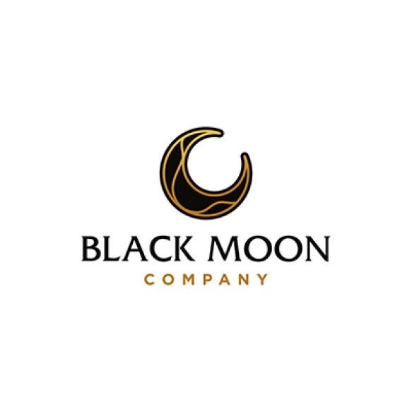 Black Golden Moon Logo Elegant Crescent Moon Star Logo Design Line Icon Vector Luxury