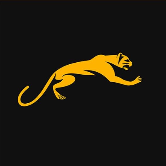 Golden Yellow Cougar Pouncing Against Black Background Sleek Feline Motion Hunting Big Cat