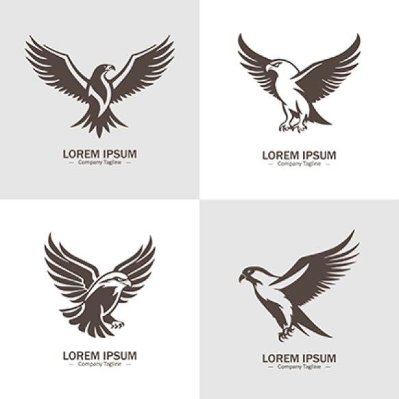 Collection Eagle Icons Logo Hawk Hawk Simple Icon Eagle Vector Symbolsset Hawk