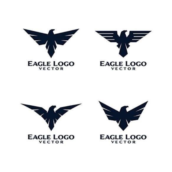 Eagle Bird Logo Template Vector