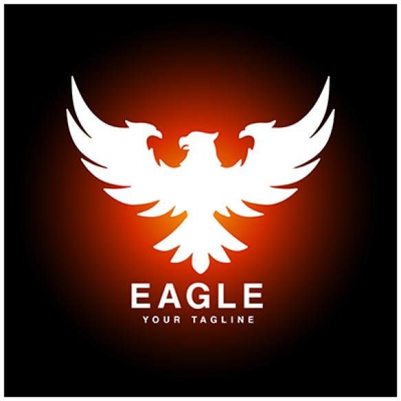 Eagle Company Logo Design