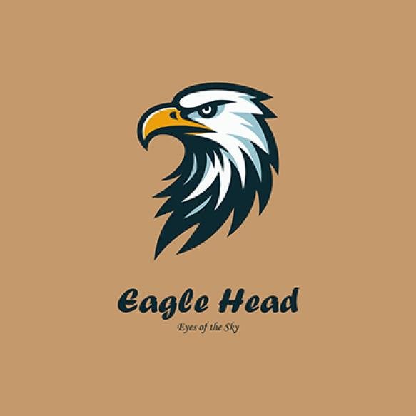 Eagle Head Logo Design
