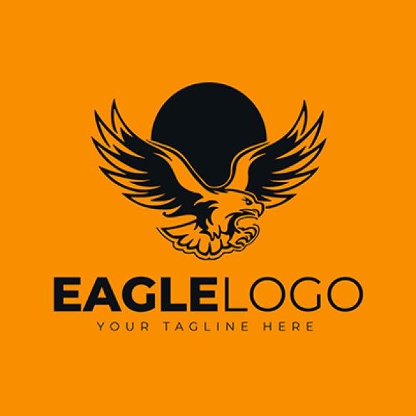 Eagle Logo Design (2)