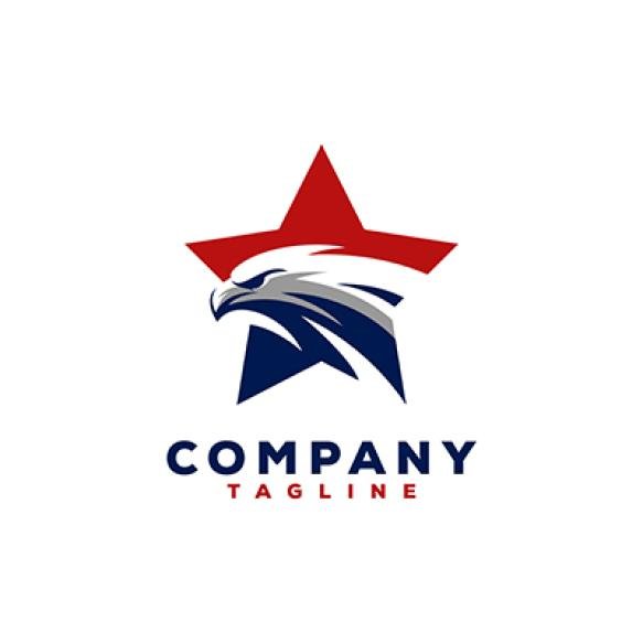 Eagle Logo Design (3)