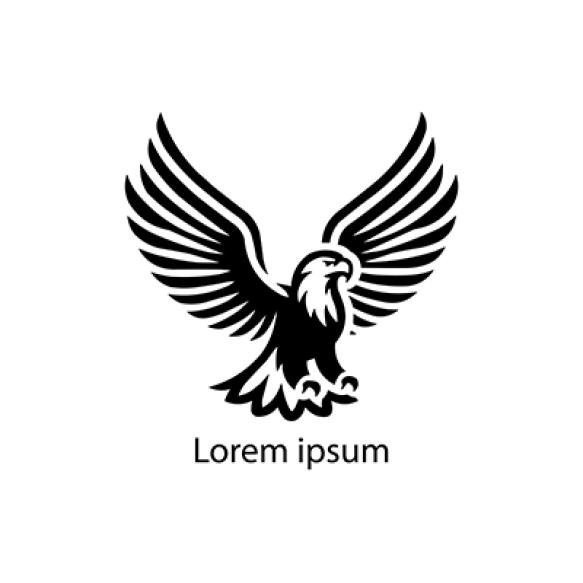 Eagle Logo Design Your Brand