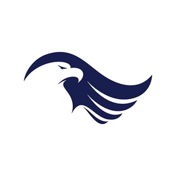 Eagle Logo Vector Creative Eagle Icon Template Illustration