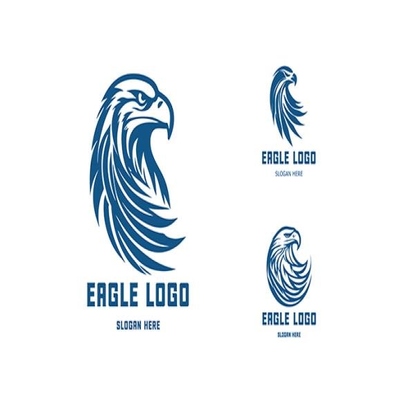 Eagle Logo Vector Stylized Graphic Eagle Bird Logo Template