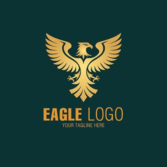 Unique Eagle Logo Design Template