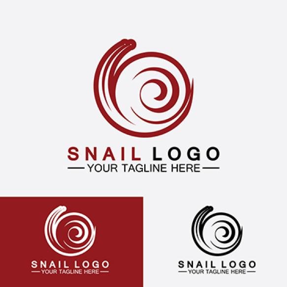Snail Logo Creative Modern Design Inspiration Vector