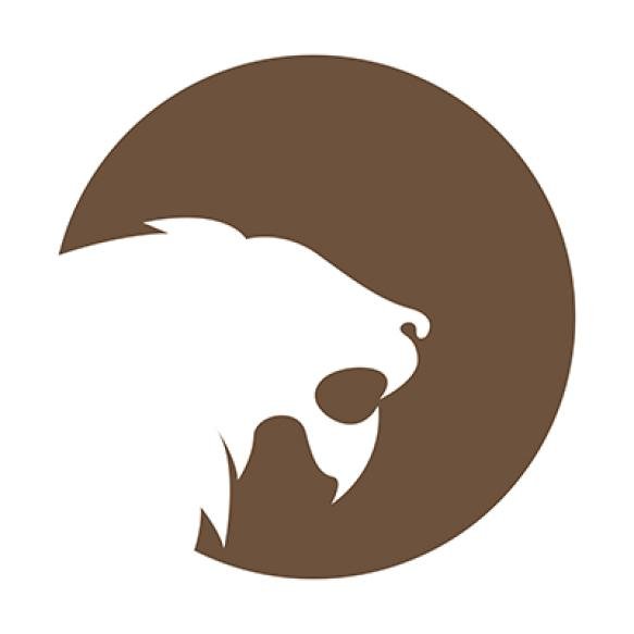 Lion Icon Logo Design Illustration