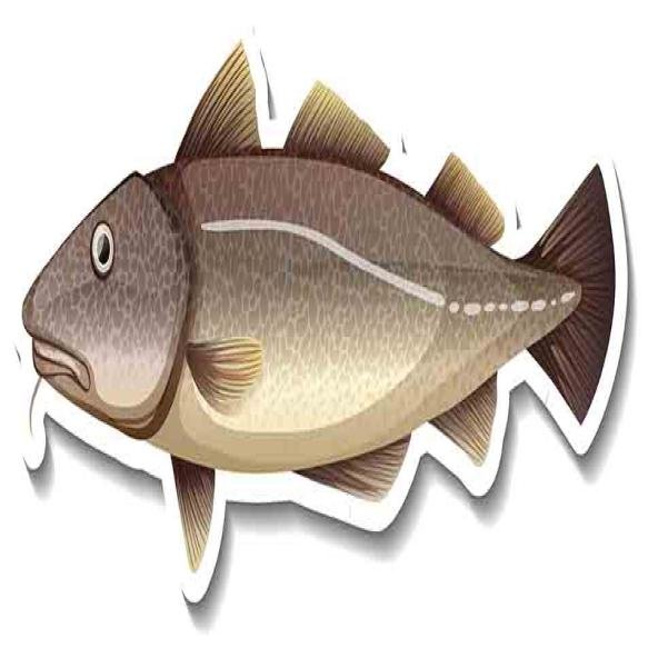 Catfish Cartoon Sticker White Background