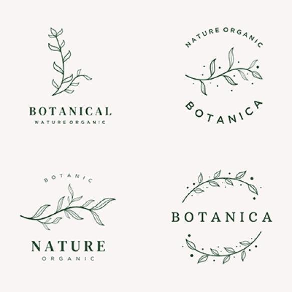 Hand Drawn Organic Botanical Organic Feminine Delicate Logo Design Florist Wedding Badge Photographe